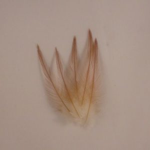 Select Dry Fly Hackles